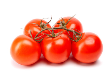 branch of tomatoes