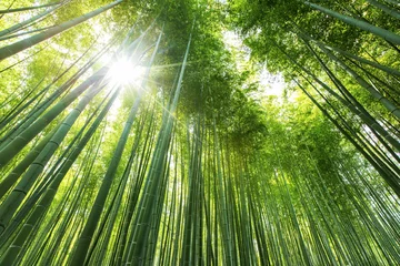 Gordijnen Bamboebos Kyoto - Japan © davidevison