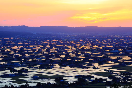 Paddy field at twilight, Nanto city, Toyama, Japan