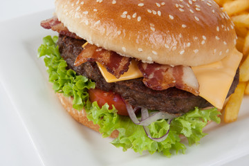 Fresh Hamburger with french fries and salad