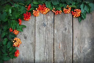 Decoration autumn frame.