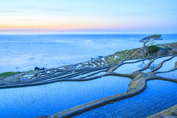 Naklejka premium Rice terraces at twilight, Shiroyone senmaida
