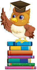 Obraz premium Owl and books