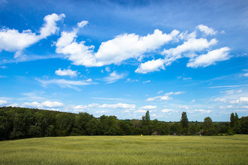 Landscape near Kiev. Ukraine.