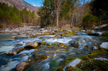 Arshan at the Sayan mountains in Buriatya, Siberia - Russia