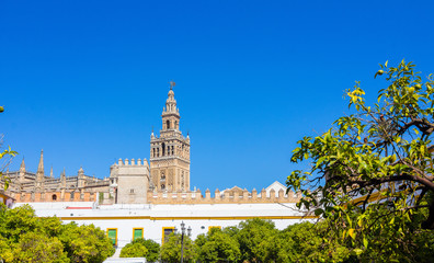 view of the famous Giralda in Seville, Spain