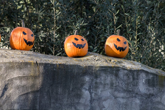 halloween pumpkins with scary expression
