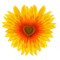 red flower sunflower in the shape of heart