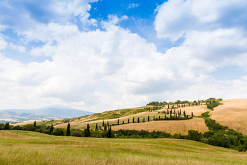 winding road flanked with cypresses in crete senesi Tuscany, Ita