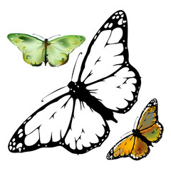 set Monarch Butterfly with open wings