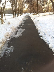 Тротуар очищенный от снега