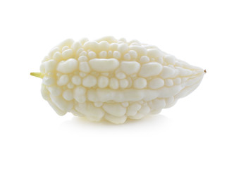 White bitter cucumber on white background
