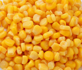 Closeup of tinned whole kernel corn, it could be used as backgro