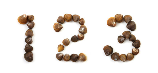 Handwritten modiola typeface on white background