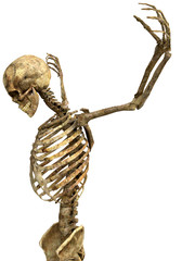 Fototapeta premium skeletonthe prayer close up