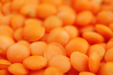 Lentil close-up (macro)