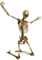 skelet on the prayer