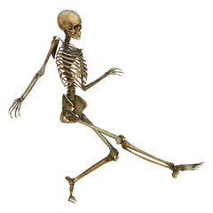 Dancing Skeleton