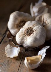 Garlic © fudio