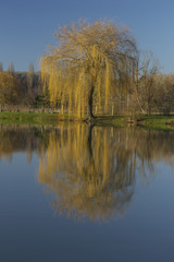 Fototapeta premium Reflets d'hiver sur l'eau