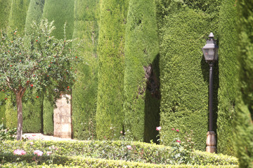 Córdoba