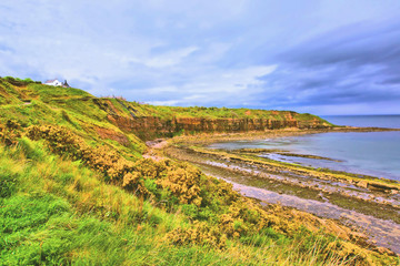 Fototapeta na wymiar Cove bay with cliffs on the east coast of Scotland