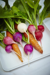 Radish