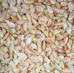 Mussels at the fish market