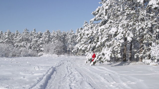 Santa Claus With Gifts Bag Walking In Snow Winter Forest