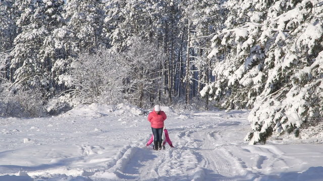 People sledding in the winter forest
