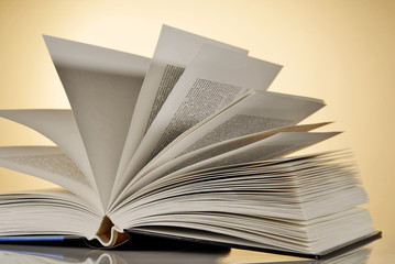 Aufgeschlagenes Buch