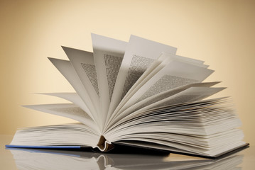 Aufgeschlagenes Buch