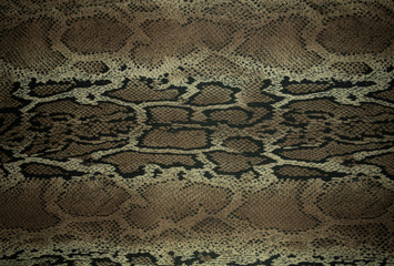 texture of print fabric stripes snake for background
