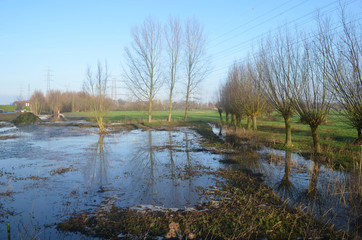 countryside landscape in winter