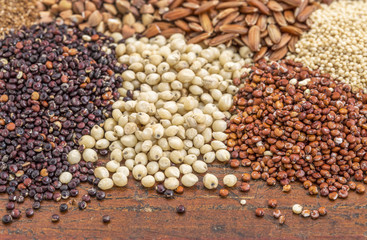 sorghum and quinoa grains