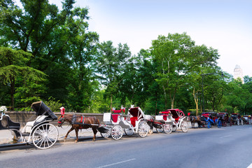 Fototapeta na wymiar Central Park horse carriage rides in New York