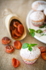 sweet muffins with dried apricots