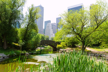 Obraz premium Central Park The Pond Manhattan New York