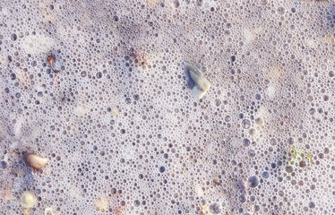 Wave with sea foam closeup