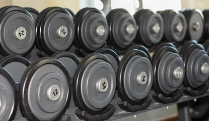 Plakat Dumbbells in the gym