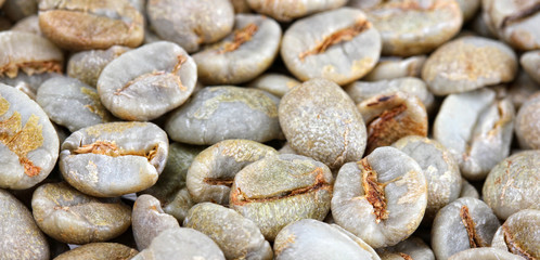 Raw coffee beans