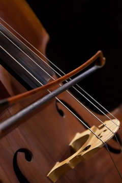 Bow on the strings bass closeup