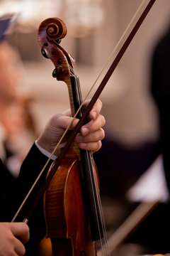 Hand holding a violin musician