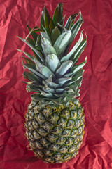 Ananas