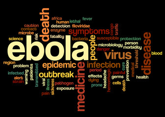 Conceptual tag cloud containing words related to ebola virus