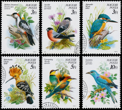 Stamps printed in Hungary show birds