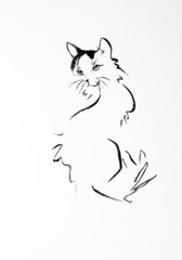 drawing cats - 76072978