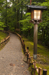 Traditional lantern in japanese garden