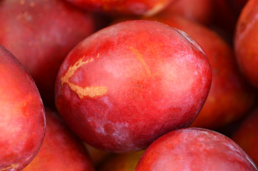 Fototapeta na wymiar Some of red plum, close up, DOF