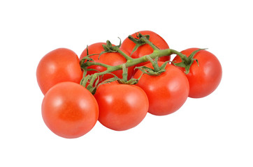 Branch of fresh tomato, isolated on white background